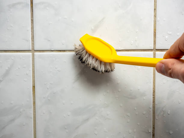 Best Professional Mold Removal  in Jewett City, CT