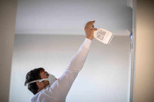 Best Mold Removal Near Me  in Jewett City, CT