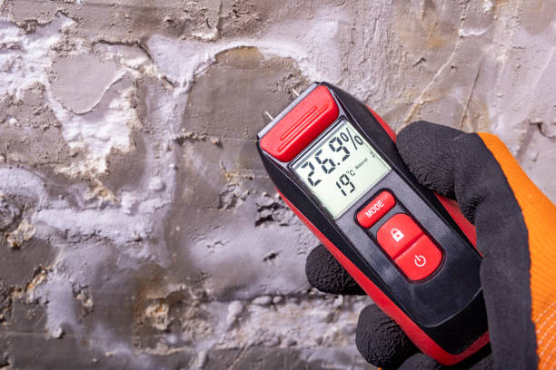 Best Mold Testing  in Jewett City, CT