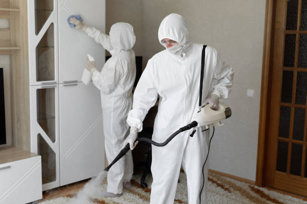 Best Mold Damage Repair  in Jewett City, CT
